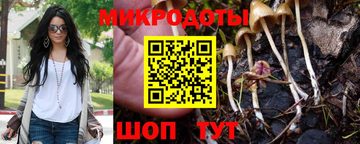 Сланцы  Галлюциногенные грибы Cubensis  Вход с VPN 